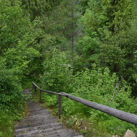 Homole E1 Z Ogrodkiem