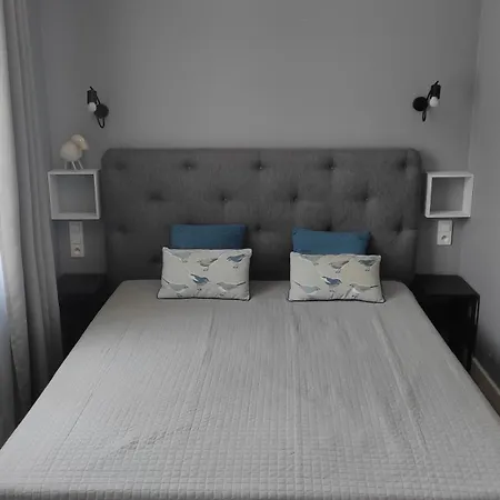 Homole E1 Z Ogrodkiem *