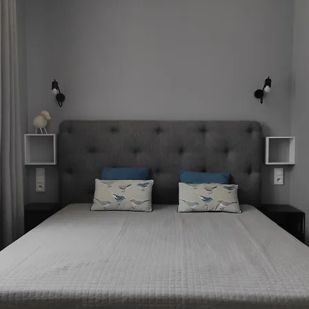 Homole E1 Z Ogrodkiem 什恰夫尼察